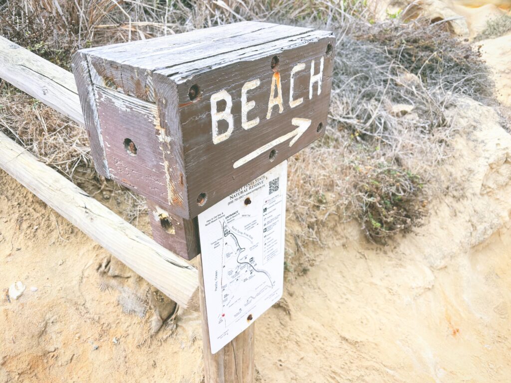 アメリカカリフォルニア州トーリーパインズ州立自然保護区Torrey Pines State Natural Reserve見どころ魅力トレイル・ハイキングモデルコース日本人観光