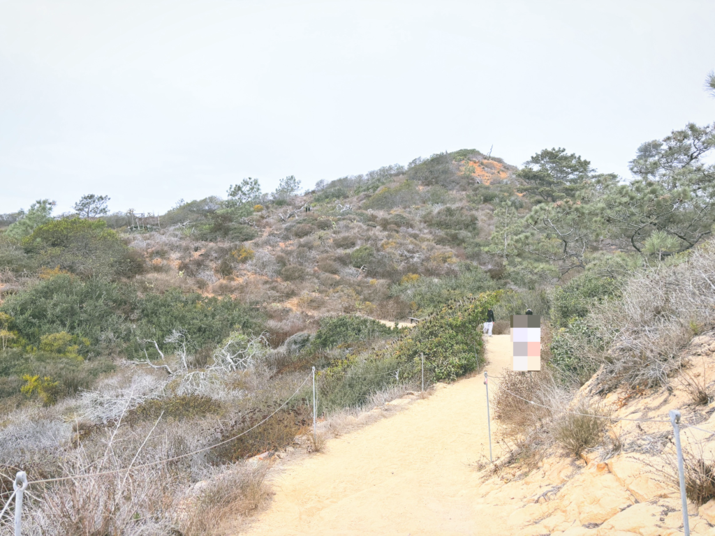 アメリカカリフォルニア州トーリーパインズ州立自然保護区Torrey Pines State Natural Reserve見どころ魅力トレイル・ハイキングモデルコース日本人観光