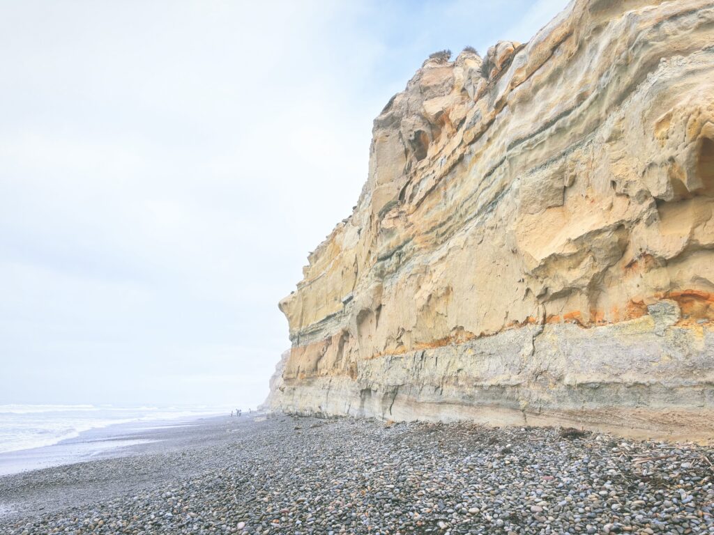 アメリカカリフォルニア州トーリーパインズ州立自然保護区Torrey Pines State Natural Reserve見どころ魅力トレイル・ハイキングモデルコース日本人観光