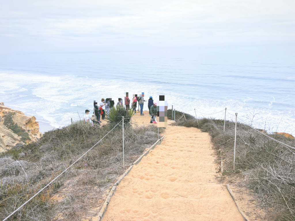 アメリカカリフォルニア州トーリーパインズ州立自然保護区Torrey Pines State Natural Reserve見どころ魅力トレイル・ハイキングモデルコース日本人観光