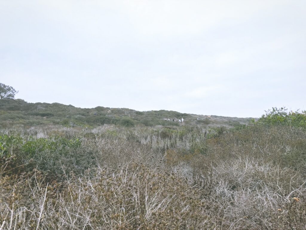 アメリカカリフォルニア州トーリーパインズ州立自然保護区Torrey Pines State Natural Reserve見どころ魅力トレイル・ハイキングモデルコース日本人観光