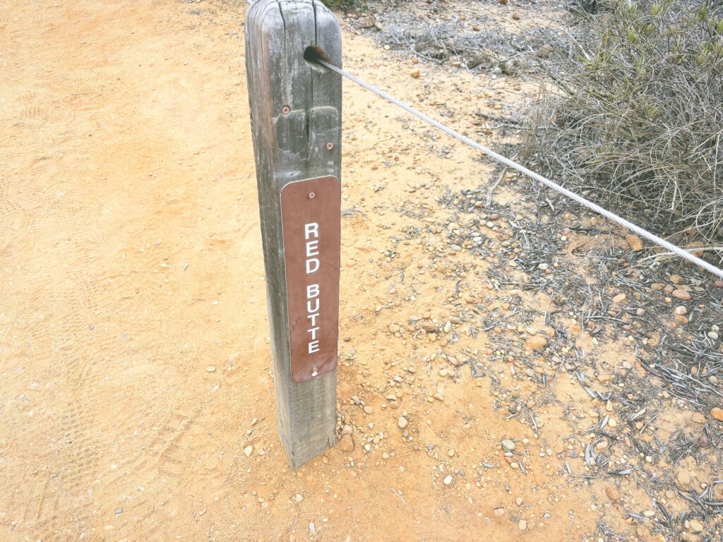 アメリカカリフォルニア州トーリーパインズ州立自然保護区Torrey Pines State Natural Reserve見どころ魅力トレイル・ハイキングモデルコース日本人観光