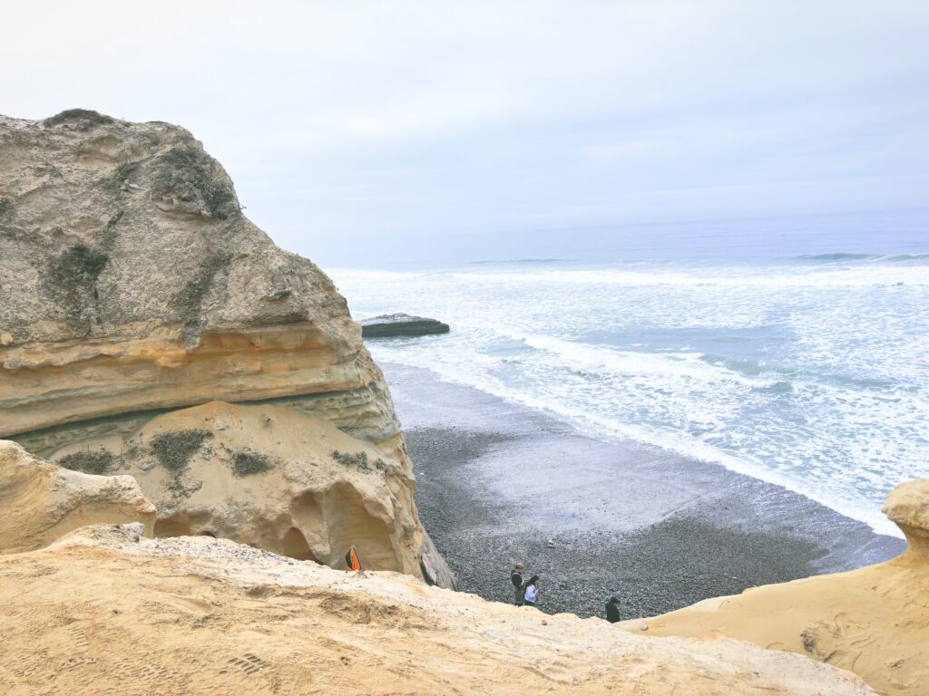 アメリカカリフォルニア州トーリーパインズ州立自然保護区Torrey Pines State Natural Reserve見どころ魅力トレイル・ハイキングモデルコース日本人観光