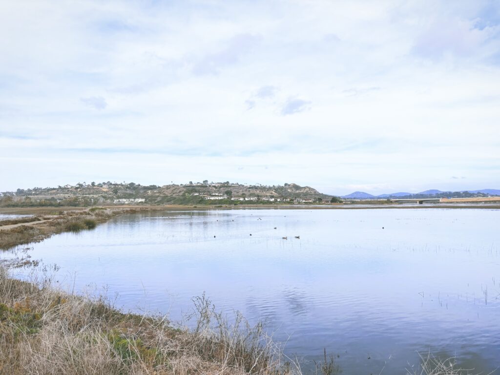 アメリカカリフォルニア州サンエリホラグーン生態保護区San Elijo Lagoon and Ecological Reserve見どころ魅力トレイル・ハイキングモデルコース日本人観光