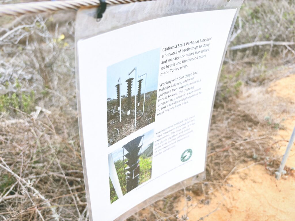 アメリカカリフォルニア州トーリーパインズ州立自然保護区Torrey Pines State Natural Reserve見どころ魅力トレイル・ハイキングモデルコース日本人観光