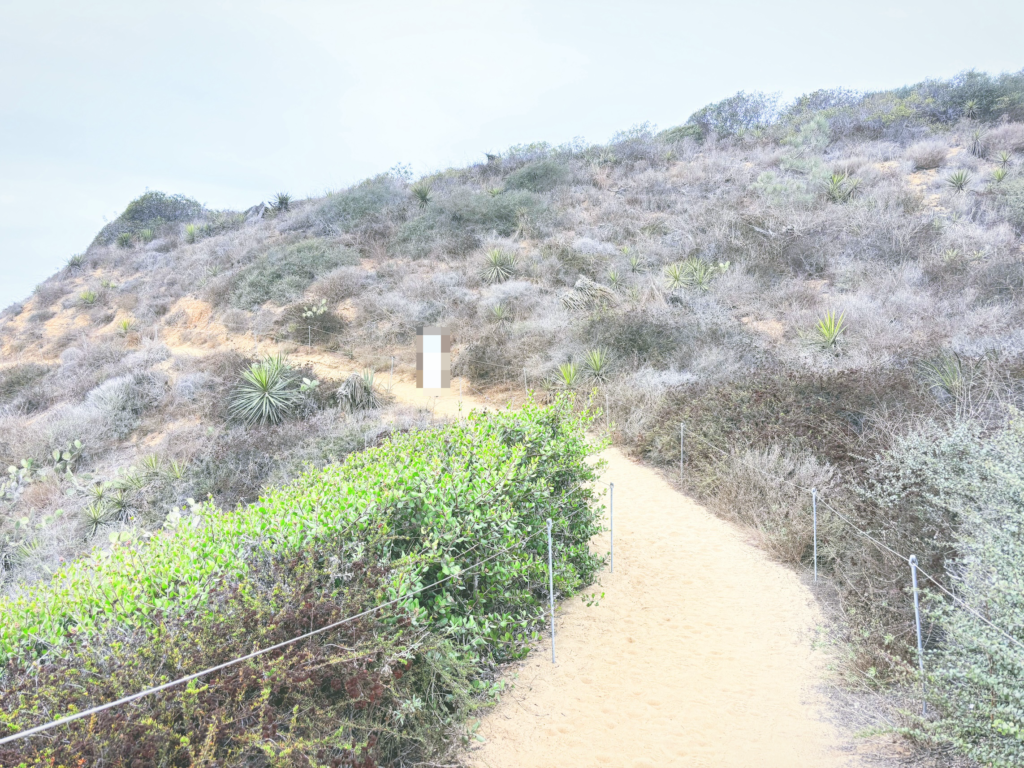 アメリカカリフォルニア州トーリーパインズ州立自然保護区Torrey Pines State Natural Reserve見どころ魅力トレイル・ハイキングモデルコース日本人観光