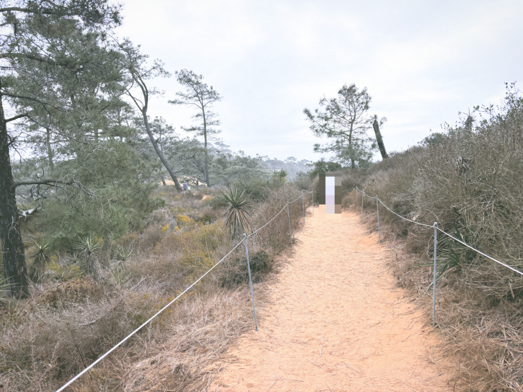 アメリカカリフォルニア州トーリーパインズ州立自然保護区Torrey Pines State Natural Reserve見どころ魅力トレイル・ハイキングモデルコース日本人観光