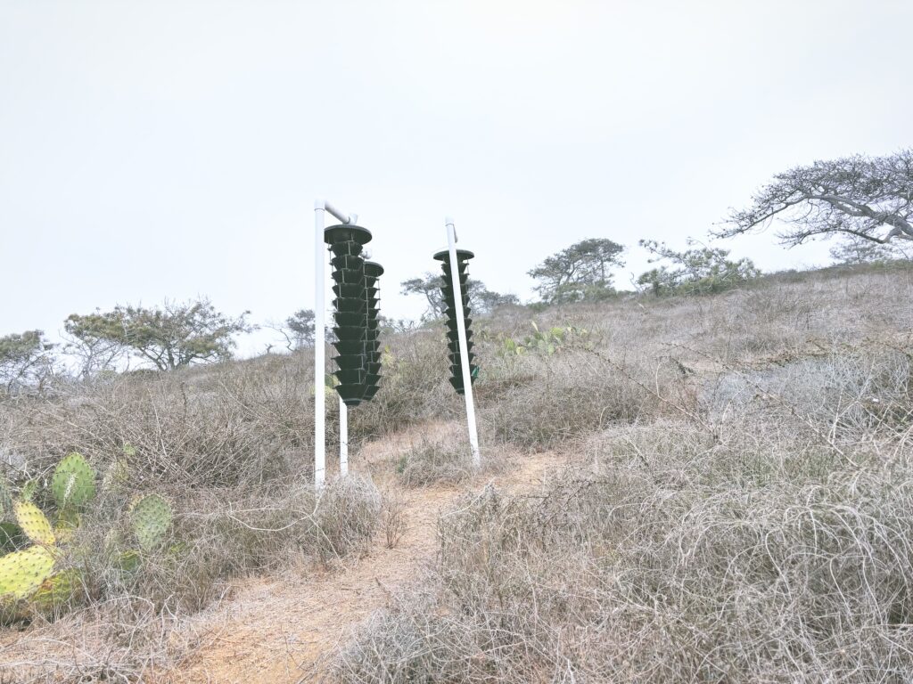 アメリカカリフォルニア州トーリーパインズ州立自然保護区Torrey Pines State Natural Reserve見どころ魅力トレイル・ハイキングモデルコース日本人観光