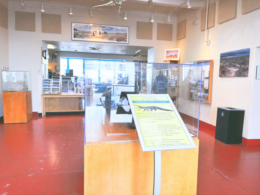 アメリカアリゾナ州化石の森国立公園Petrified Forest National Park見どころ魅力トレイル・ハイキングモデルコース日本人観光