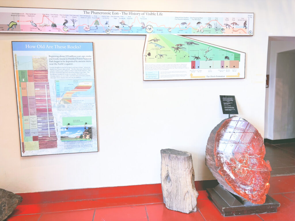 アメリカアリゾナ州化石の森国立公園Petrified Forest National Park見どころ魅力トレイル・ハイキングモデルコース日本人観光