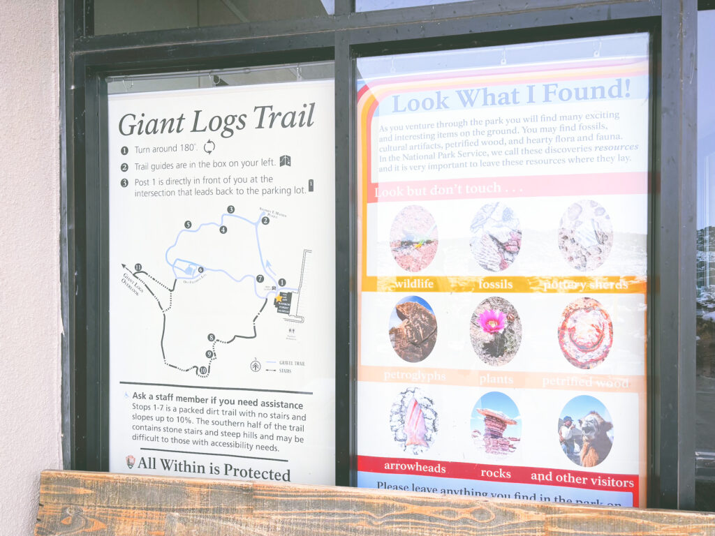 アメリカアリゾナ州化石の森国立公園Petrified Forest National Park見どころ魅力トレイル・ハイキングモデルコース日本人観光