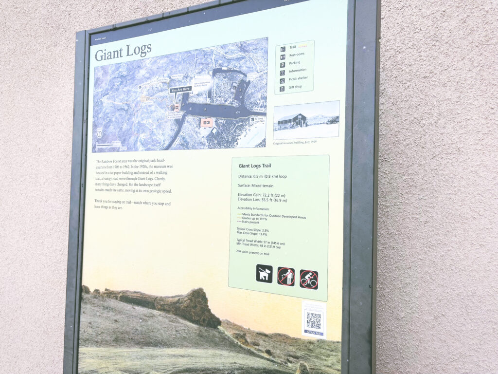 アメリカアリゾナ州化石の森国立公園Petrified Forest National Park見どころ魅力トレイル・ハイキングモデルコース日本人観光