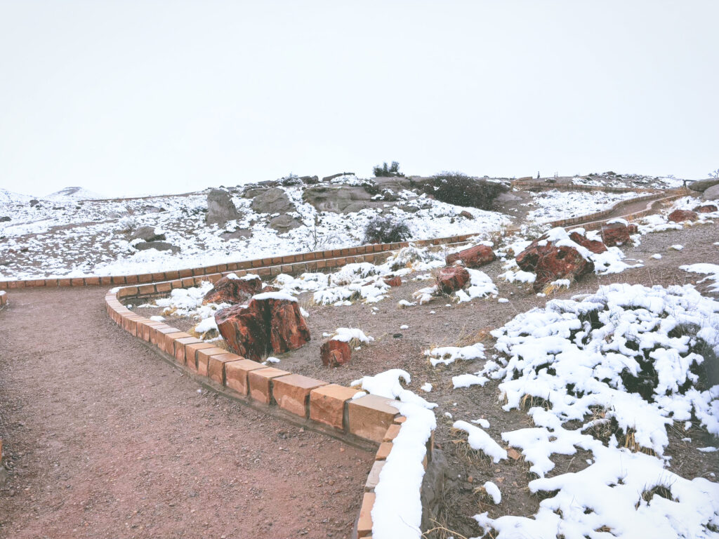 アメリカアリゾナ州化石の森国立公園Petrified Forest National Park見どころ魅力トレイル・ハイキングモデルコース日本人観光