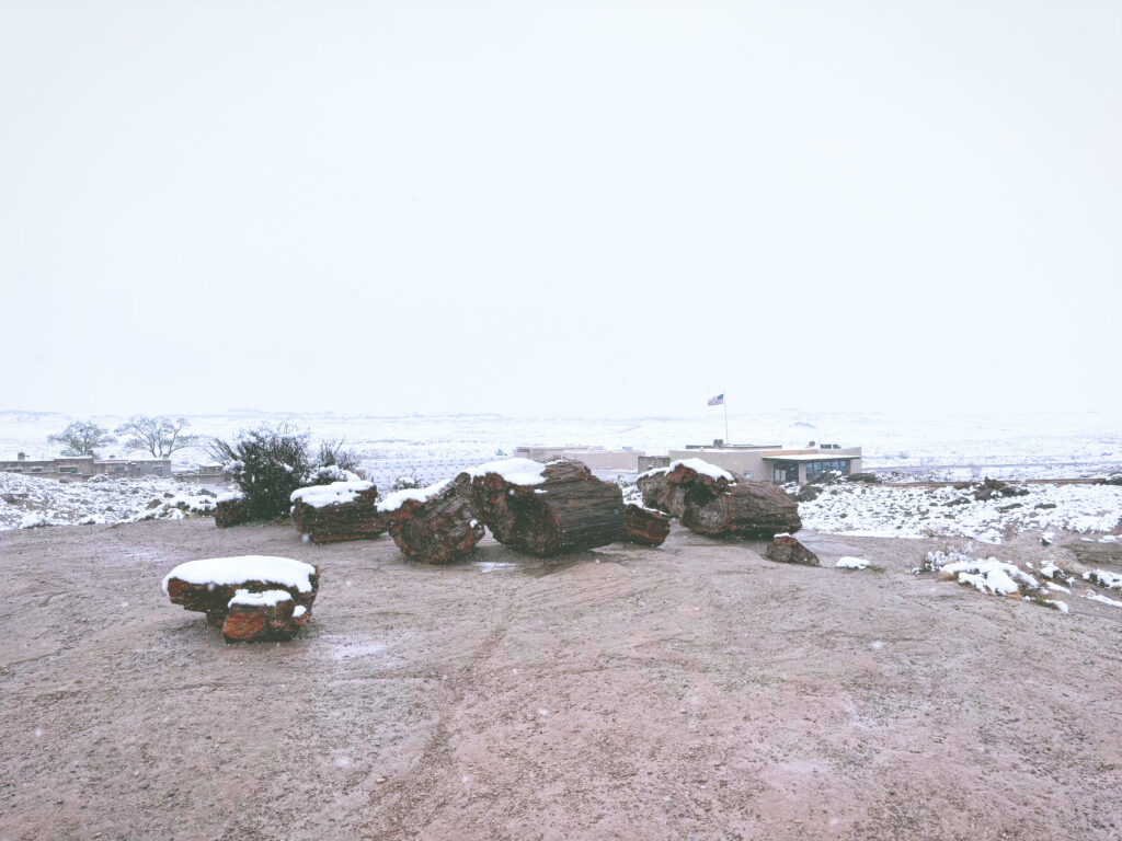 アメリカアリゾナ州化石の森国立公園Petrified Forest National Park見どころ魅力トレイル・ハイキングモデルコース日本人観光
