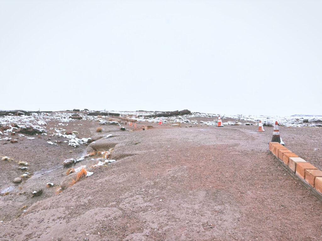 アメリカアリゾナ州化石の森国立公園Petrified Forest National Park見どころ魅力トレイル・ハイキングモデルコース日本人観光
