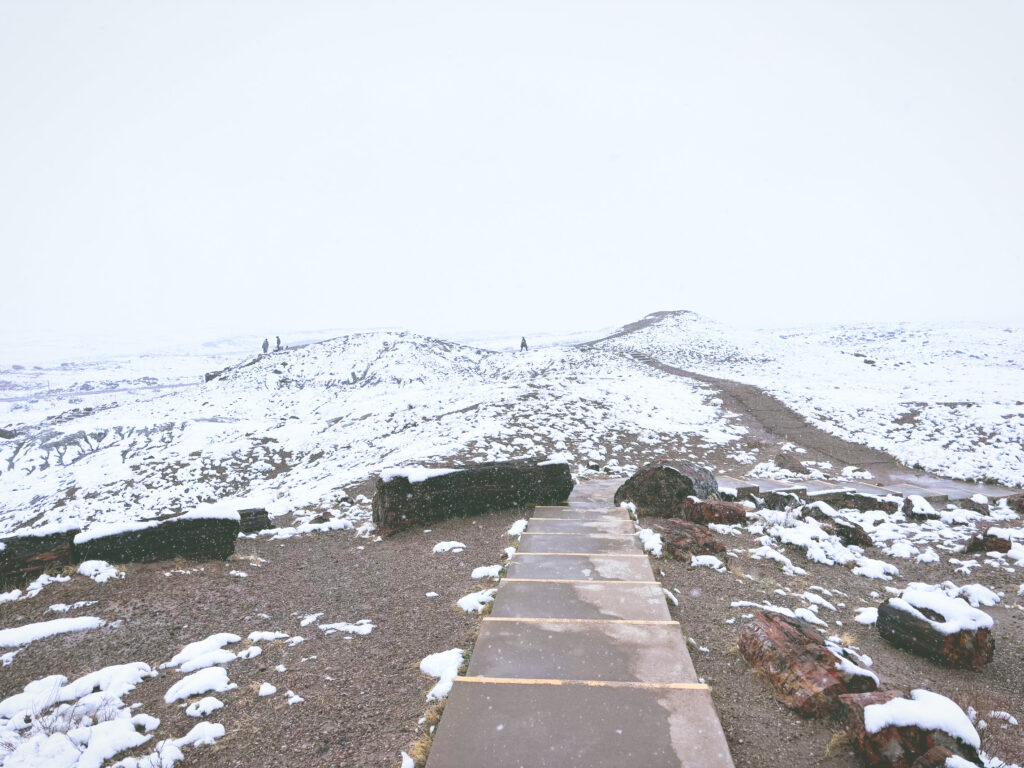 アメリカアリゾナ州化石の森国立公園Petrified Forest National Park見どころ魅力トレイル・ハイキングモデルコース日本人観光
