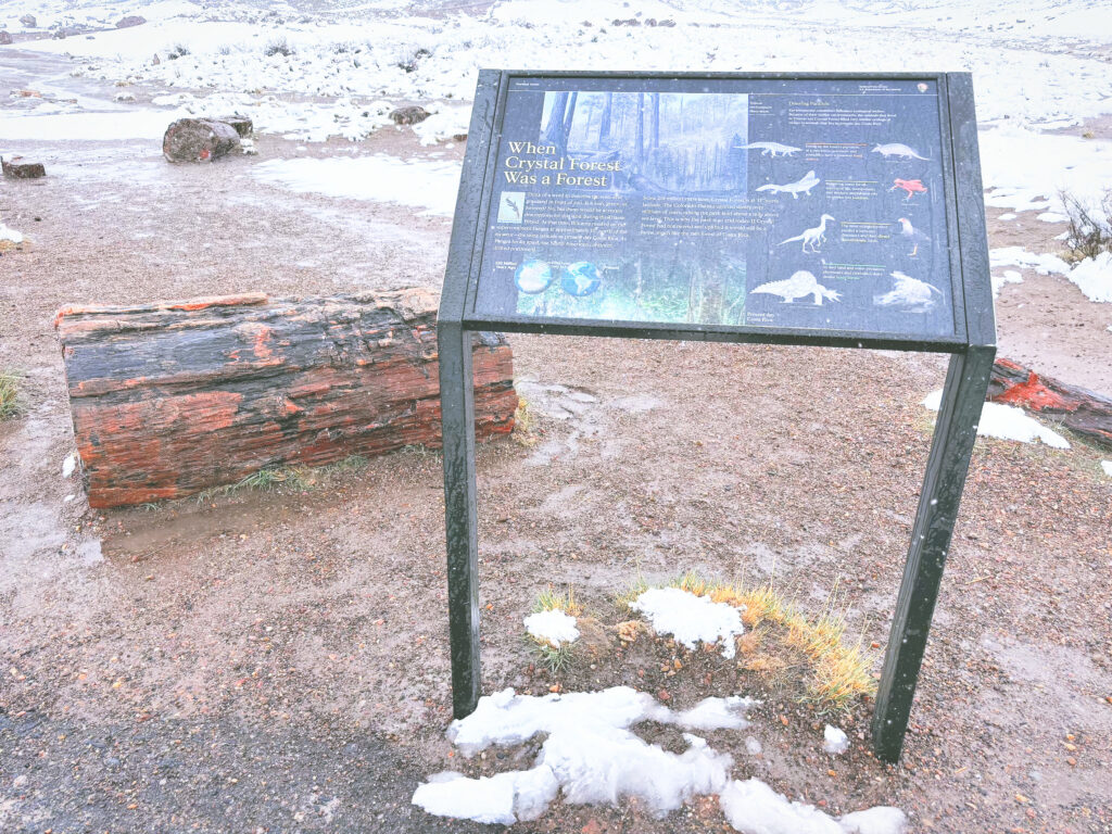 アメリカアリゾナ州化石の森国立公園Petrified Forest National Park見どころ魅力トレイル・ハイキングモデルコース日本人観光