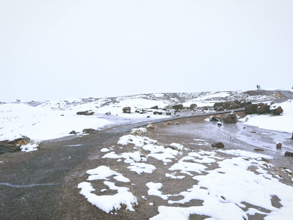 アメリカアリゾナ州化石の森国立公園Petrified Forest National Park見どころ魅力トレイル・ハイキングモデルコース日本人観光