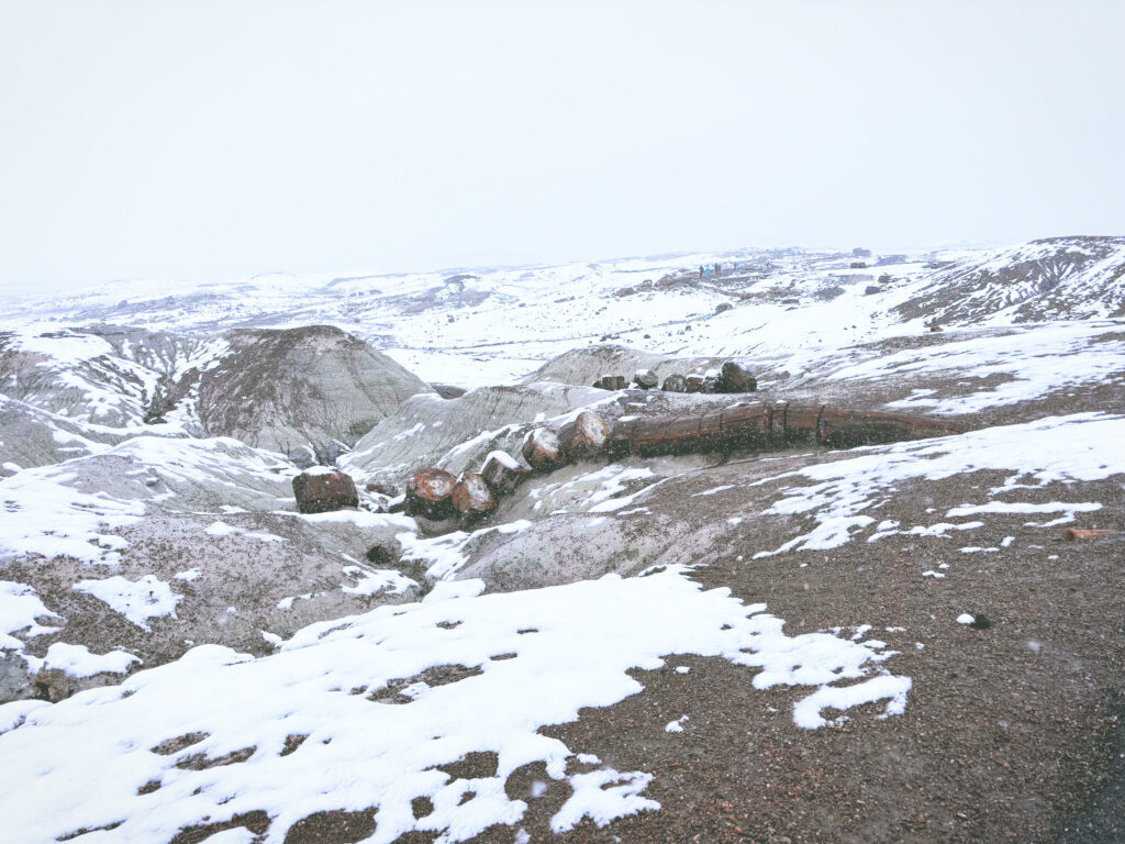 アメリカアリゾナ州化石の森国立公園Petrified Forest National Park見どころ魅力トレイル・ハイキングモデルコース日本人観光