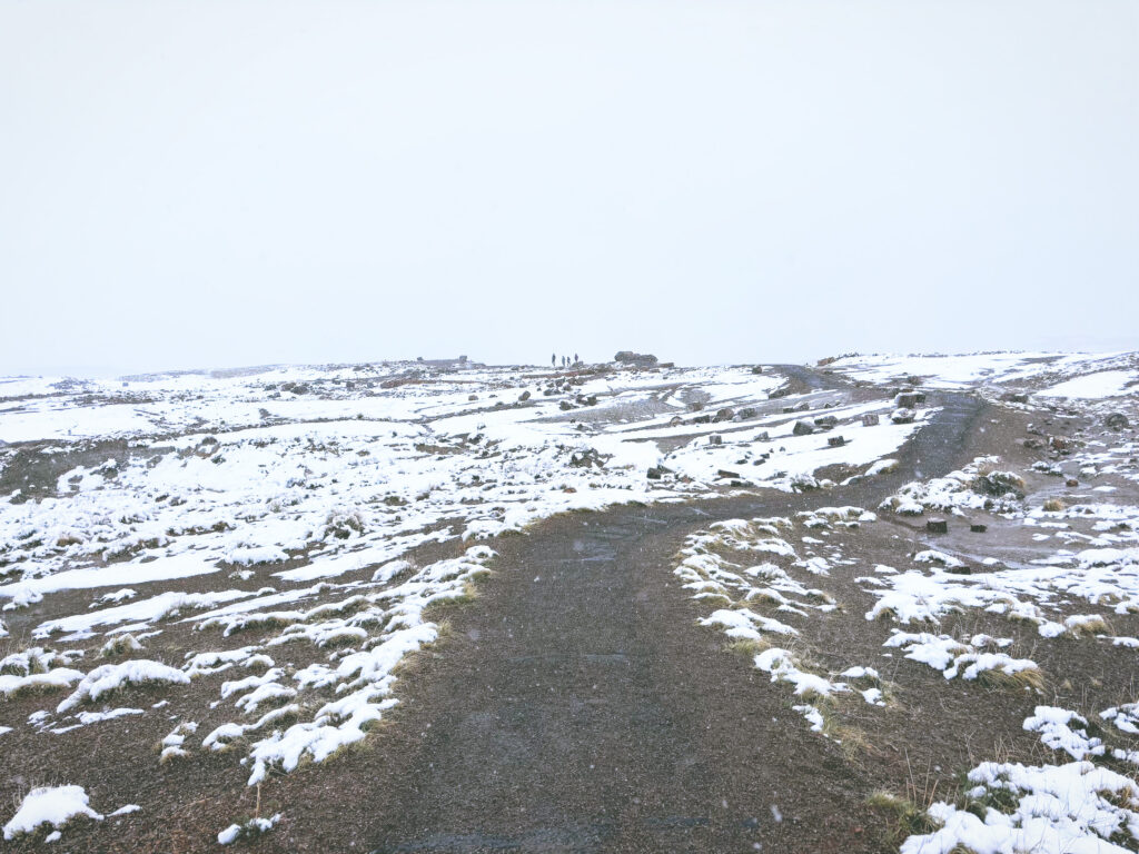 アメリカアリゾナ州化石の森国立公園Petrified Forest National Park見どころ魅力トレイル・ハイキングモデルコース日本人観光
