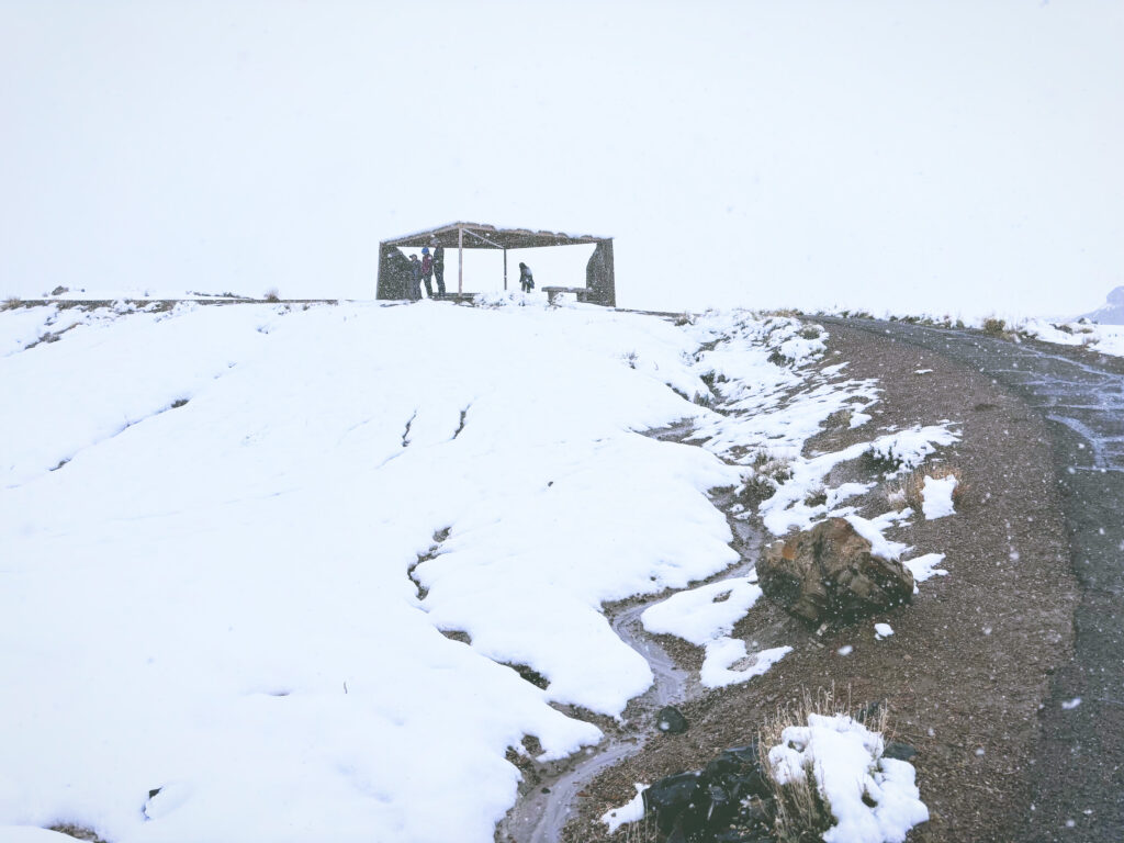 アメリカアリゾナ州化石の森国立公園Petrified Forest National Park見どころ魅力トレイル・ハイキングモデルコース日本人観光