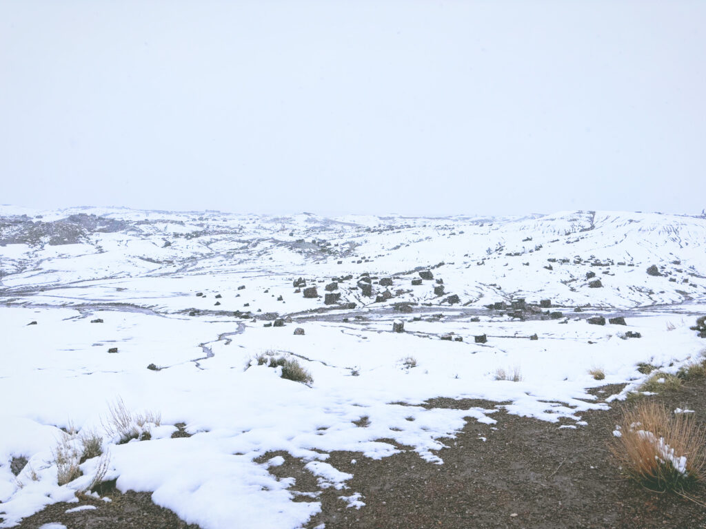 アメリカアリゾナ州化石の森国立公園Petrified Forest National Park見どころ魅力トレイル・ハイキングモデルコース日本人観光