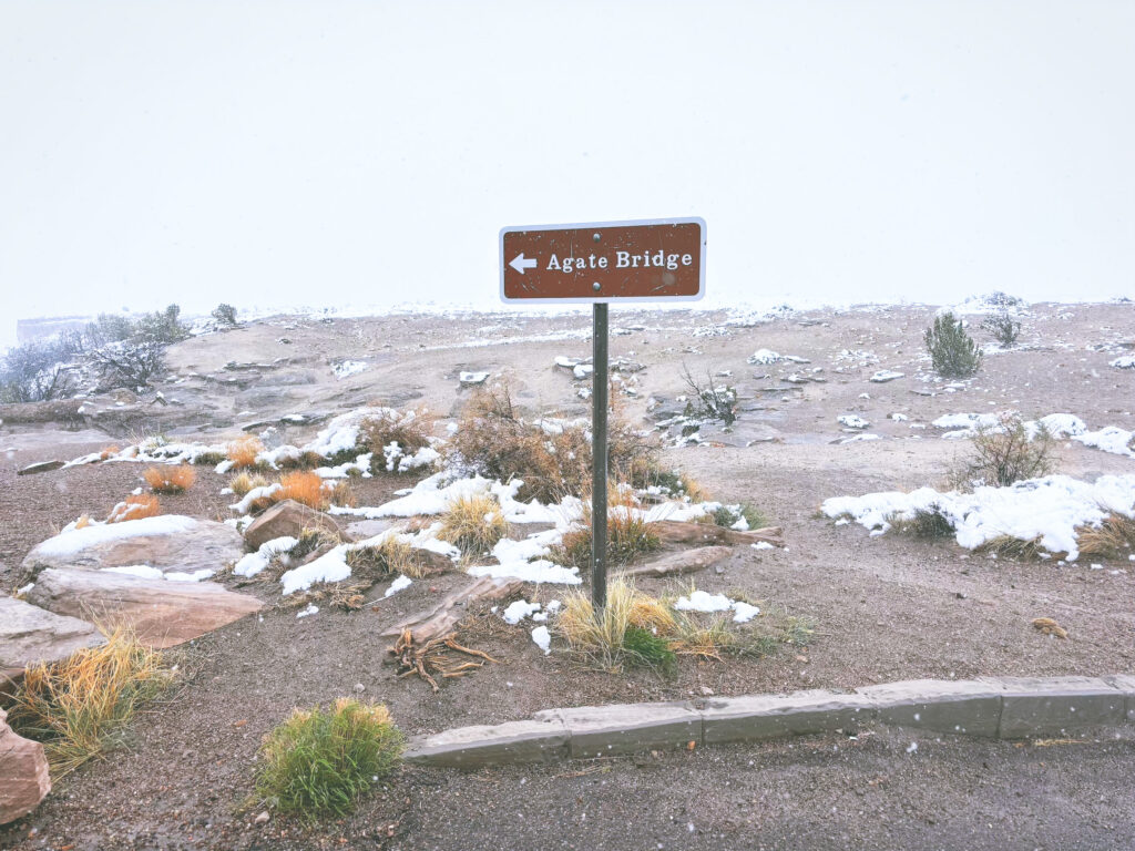 アメリカアリゾナ州化石の森国立公園Petrified Forest National Park見どころ魅力トレイル・ハイキングモデルコース日本人観光