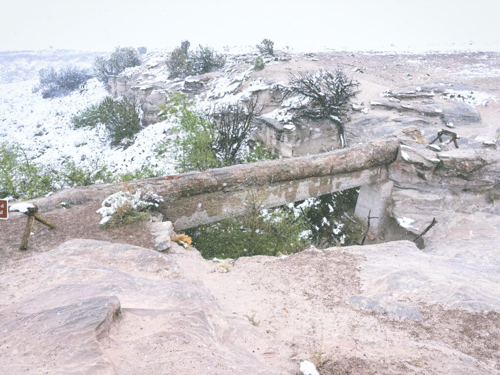 アメリカアリゾナ州化石の森国立公園Petrified Forest National Park見どころ魅力トレイル・ハイキングモデルコース日本人観光