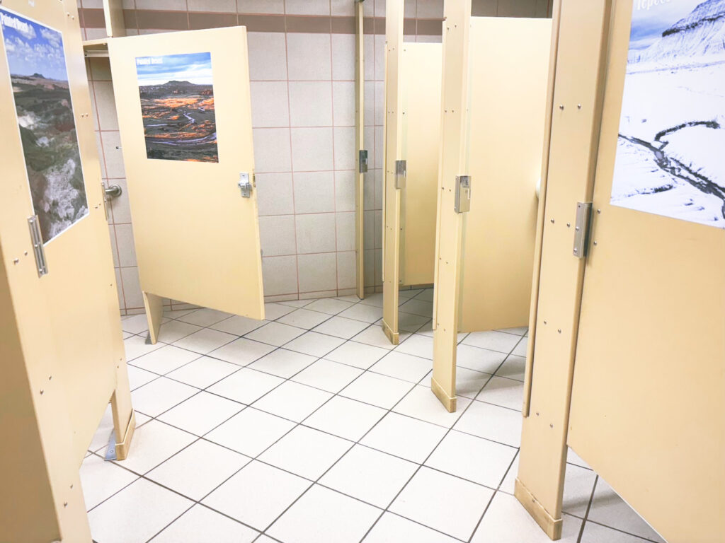 アメリカアリゾナ州化石の森国立公園Petrified Forest National Park見どころ魅力トレイル・ハイキングモデルコース日本人観光