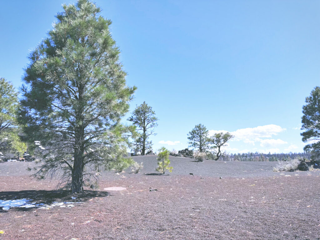 アメリカアリゾナ州サンセットクレーター火山国定公園Sunset Crater Volcano National Monument見どころ魅力トレイル・ハイキングモデルコース日本人観光