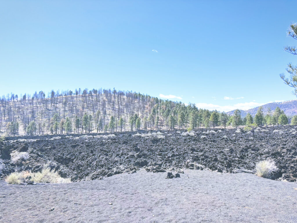 アメリカアリゾナ州サンセットクレーター火山国定公園Sunset Crater Volcano National Monument見どころ魅力トレイル・ハイキングモデルコース日本人観光