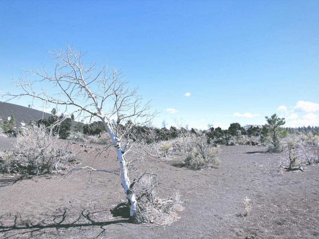 アメリカアリゾナ州サンセットクレーター火山国定公園Sunset Crater Volcano National Monument見どころ魅力トレイル・ハイキングモデルコース日本人観光