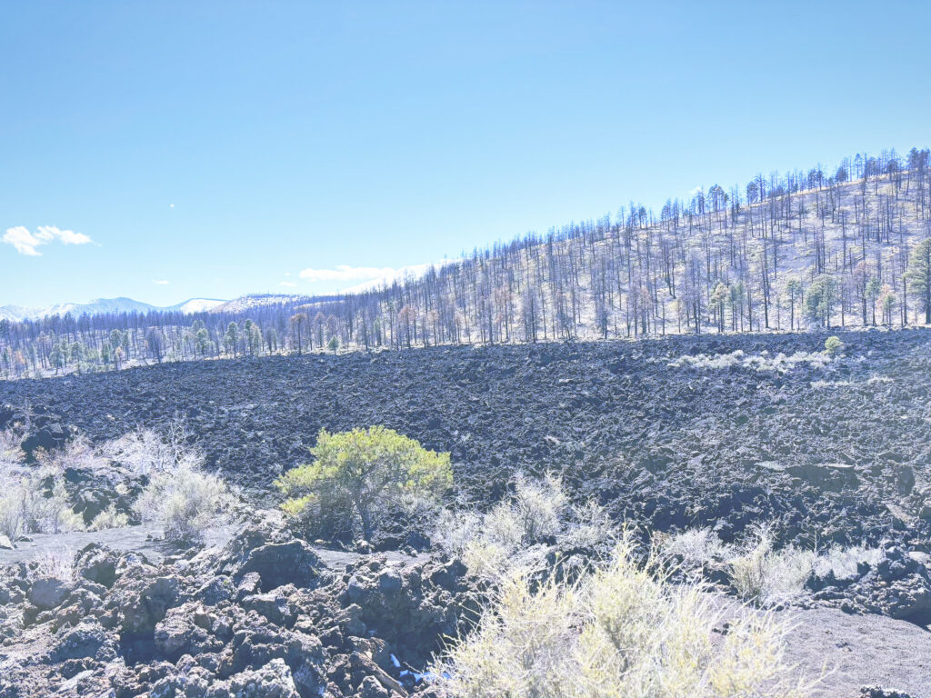 アメリカアリゾナ州サンセットクレーター火山国定公園Sunset Crater Volcano National Monument見どころ魅力トレイル・ハイキングモデルコース日本人観光