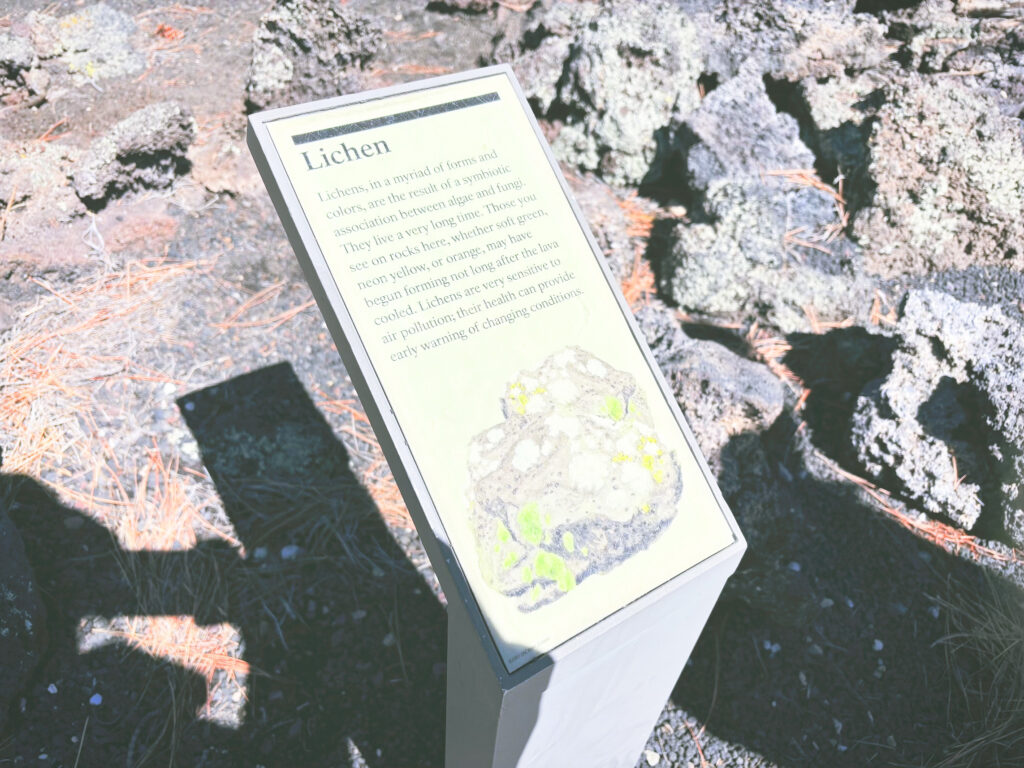 アメリカアリゾナ州サンセットクレーター火山国定公園Sunset Crater Volcano National Monument見どころ魅力トレイル・ハイキングモデルコース日本人観光
