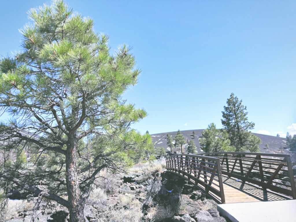 アメリカアリゾナ州サンセットクレーター火山国定公園Sunset Crater Volcano National Monument見どころ魅力トレイル・ハイキングモデルコース日本人観光