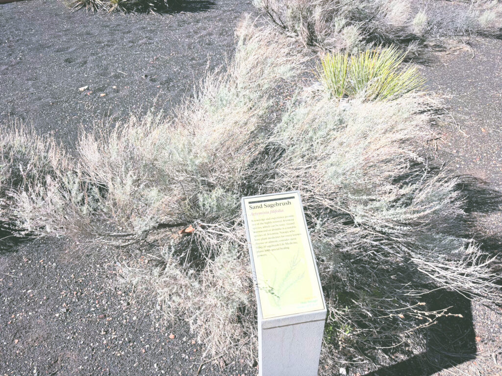 アメリカアリゾナ州ウパトキ国定公園Wupatki National Monument見どころ魅力トレイル・ハイキングモデルコース日本人観光