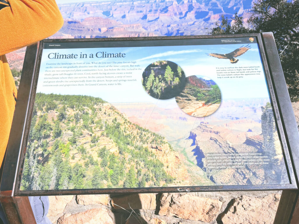 アメリカアリゾナ州グランドキャニオン国立公園Grand Canyon National Park見どころ魅力トレイル・ハイキングモデルコース日本人観光