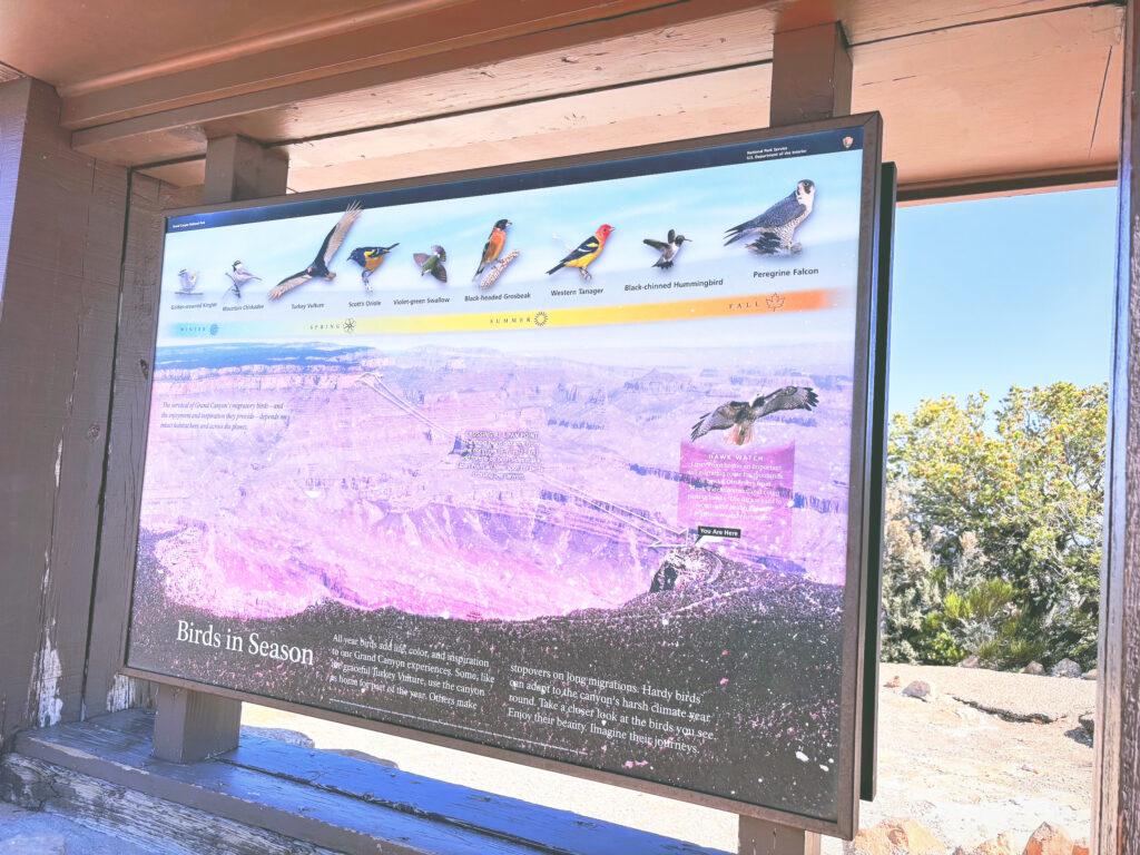アメリカアリゾナ州グランドキャニオン国立公園Grand Canyon National Park見どころ魅力トレイル・ハイキングモデルコース日本人観光