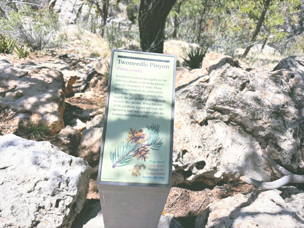 アメリカアリゾナ州ウォルナットキャニオン国定公園Walnut Canyon National Monument見どころ魅力トレイル・ハイキングモデルコース日本人観光