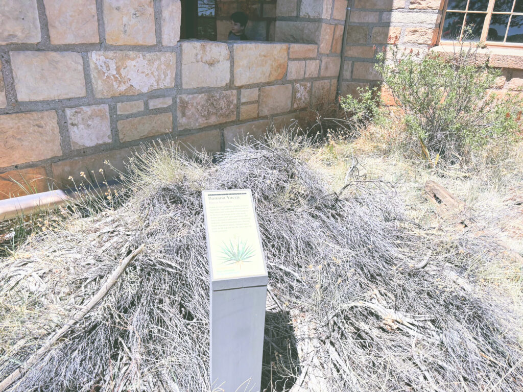 アメリカアリゾナ州ウォルナットキャニオン国定公園Walnut Canyon National Monument見どころ魅力トレイル・ハイキングモデルコース日本人観光