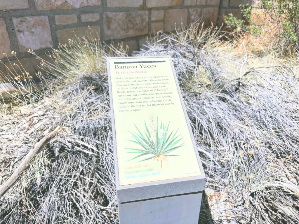 アメリカアリゾナ州ウォルナットキャニオン国定公園Walnut Canyon National Monument見どころ魅力トレイル・ハイキングモデルコース日本人観光
