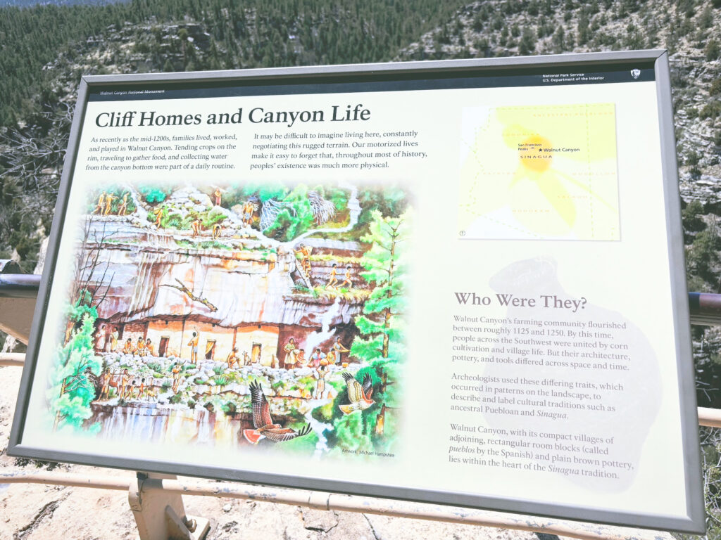 アメリカアリゾナ州ウォルナットキャニオン国定公園Walnut Canyon National Monument見どころ魅力トレイル・ハイキングモデルコース日本人観光