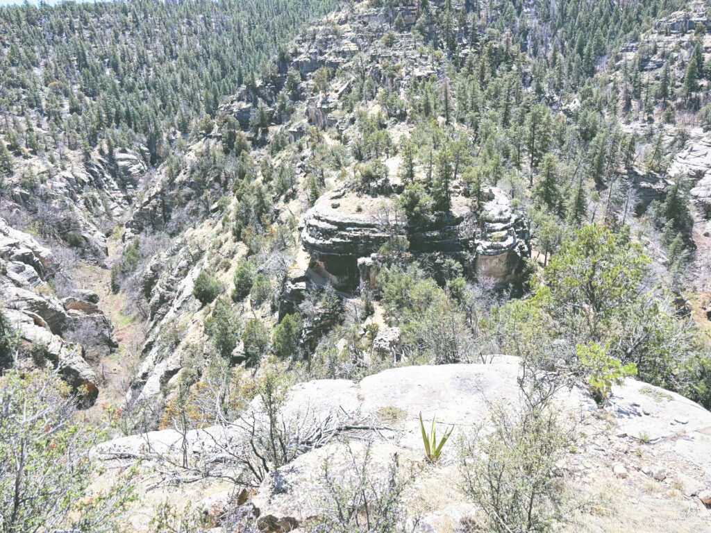 アメリカアリゾナ州ウォルナットキャニオン国定公園Walnut Canyon National Monument見どころ魅力トレイル・ハイキングモデルコース日本人観光