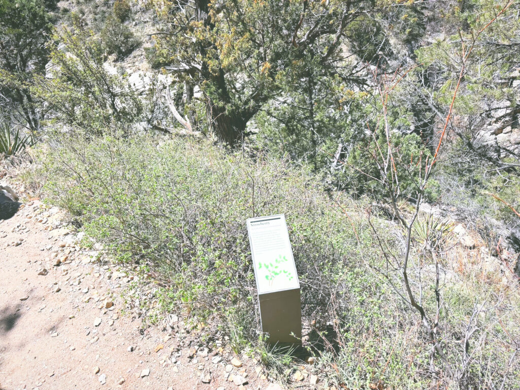 アメリカアリゾナ州ウォルナットキャニオン国定公園Walnut Canyon National Monument見どころ魅力トレイル・ハイキングモデルコース日本人観光