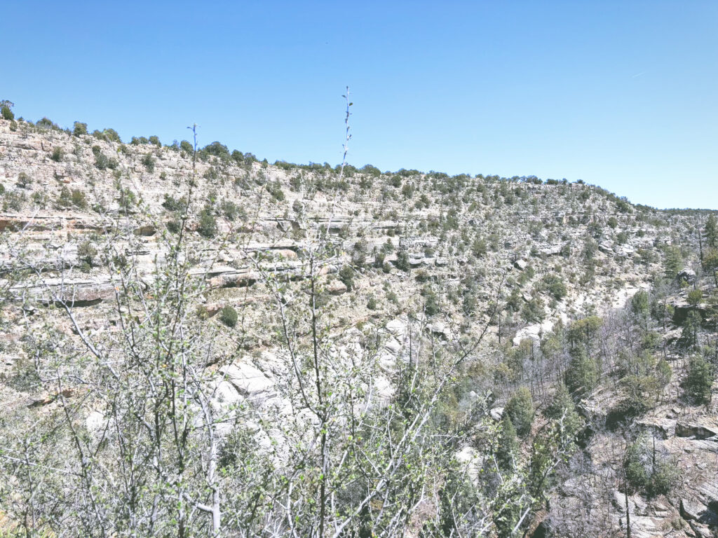 アメリカアリゾナ州ウォルナットキャニオン国定公園Walnut Canyon National Monument見どころ魅力トレイル・ハイキングモデルコース日本人観光