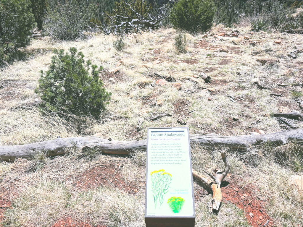 アメリカアリゾナ州ウォルナットキャニオン国定公園Walnut Canyon National Monument見どころ魅力トレイル・ハイキングモデルコース日本人観光