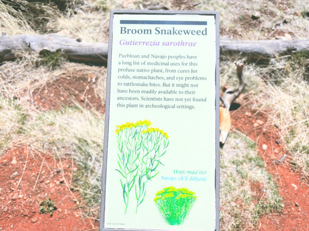 アメリカアリゾナ州ウォルナットキャニオン国定公園Walnut Canyon National Monument見どころ魅力トレイル・ハイキングモデルコース日本人観光