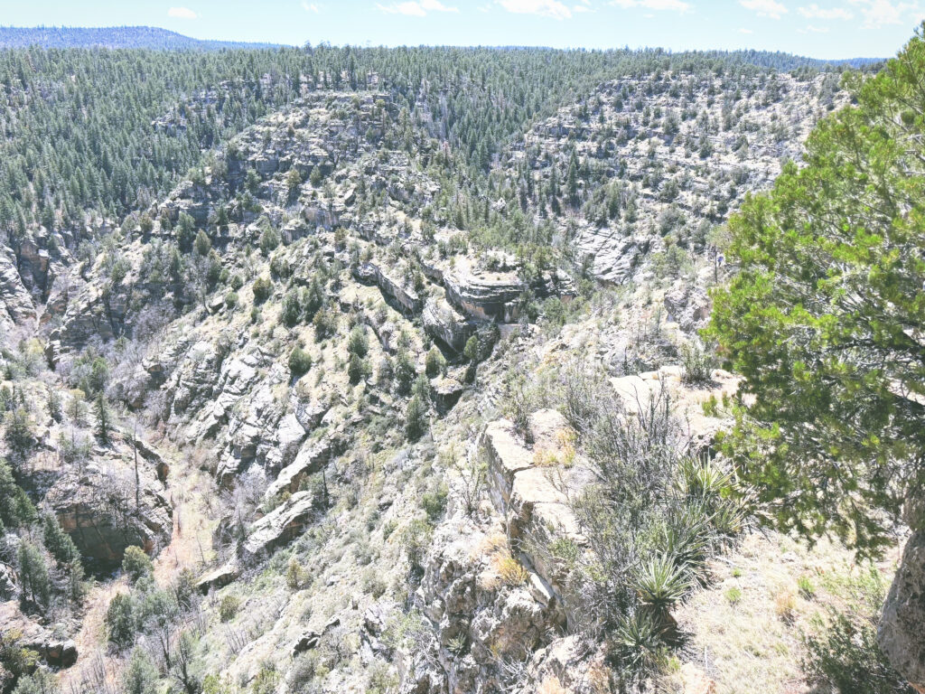 アメリカアリゾナ州ウォルナットキャニオン国定公園Walnut Canyon National Monument見どころ魅力トレイル・ハイキングモデルコース日本人観光