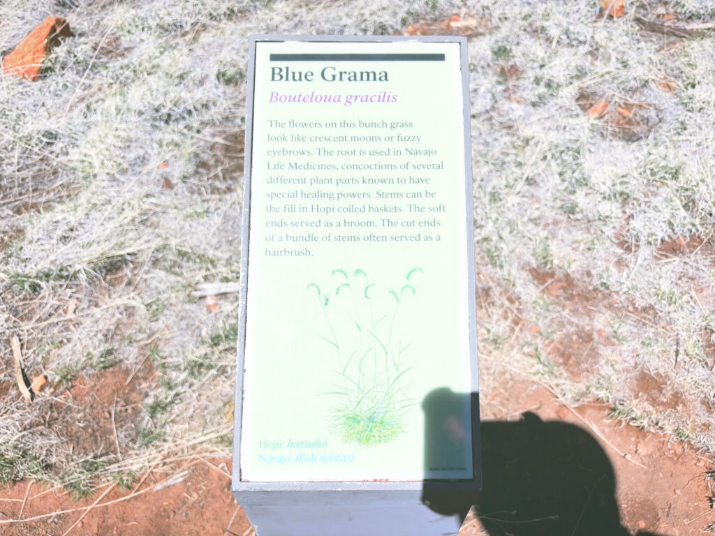 アメリカアリゾナ州ウォルナットキャニオン国定公園Walnut Canyon National Monument見どころ魅力トレイル・ハイキングモデルコース日本人観光