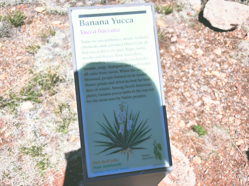 アメリカアリゾナ州ウォルナットキャニオン国定公園Walnut Canyon National Monument見どころ魅力トレイル・ハイキングモデルコース日本人観光